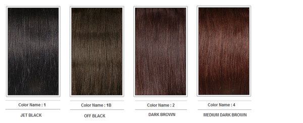 Hairpiece Color Chart