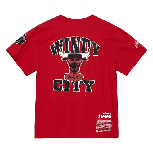 Chicago Cubs Bear Cub Face Logo Gray S/S T-Shirt L