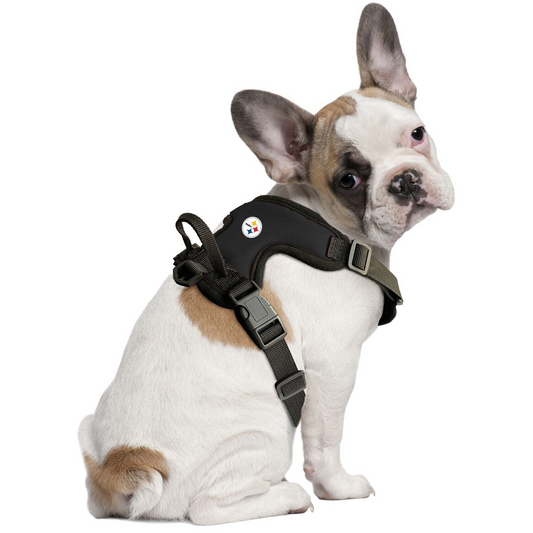 Raiders Inspired Dog Collar/leash Sets/las Vegas Raiders 