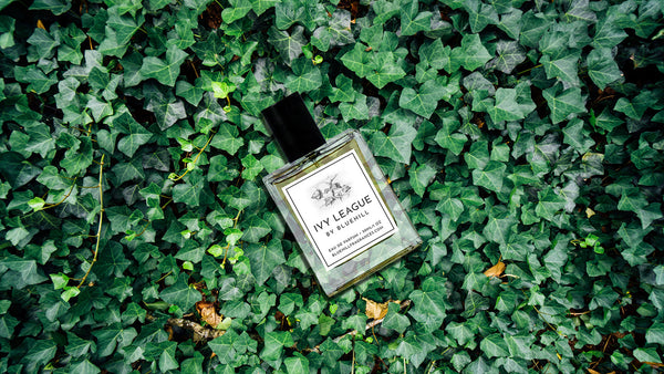 Ivy League by Bluehill Fragrances