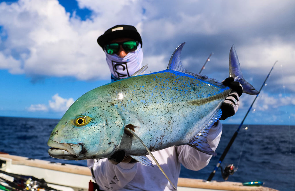 VOL 7 - WILFISH - CORAL SEA– Just Another Fisherman