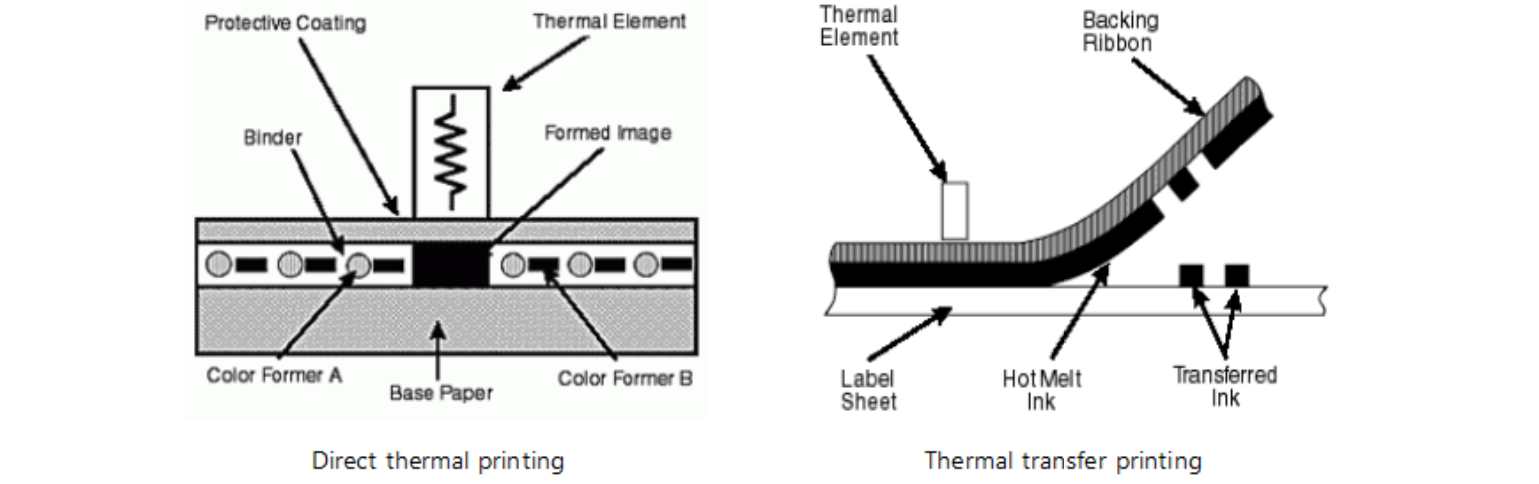 Internal structures of direct thermal printer and thermal transfer printer