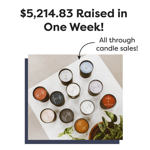 image of donation amount during triple impact week