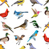 Des oiseaux