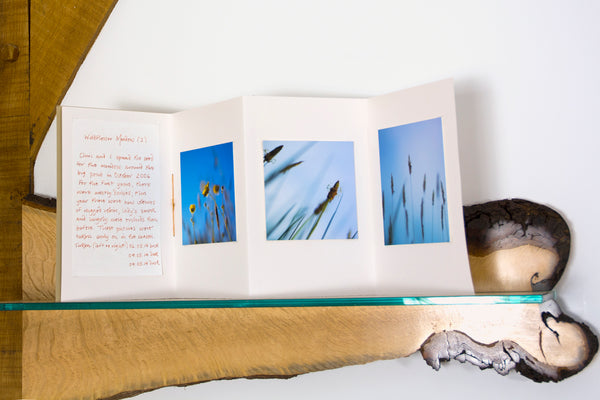 Photographer Robin Hutt used Accordion Sketchbooks in her Fairlight End exhibition.