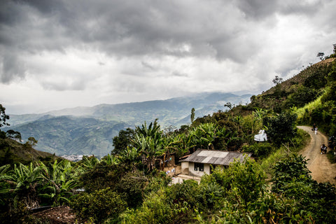 Farms at Consacá