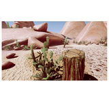 HDRP Desert Rock & Foliage Pack