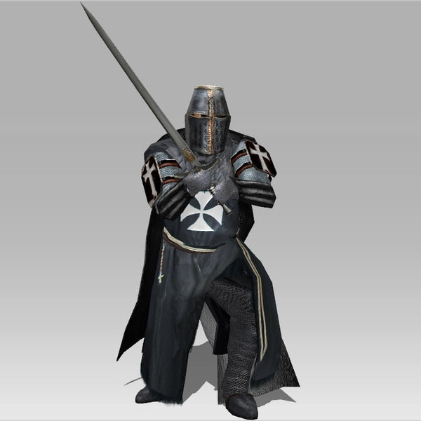 Hospital/Templar Knight arteria3d