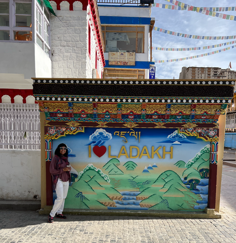 traveldiary-ladakh-chetnasingh