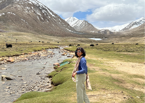 artdiary-chetnasingh-Ladakh 