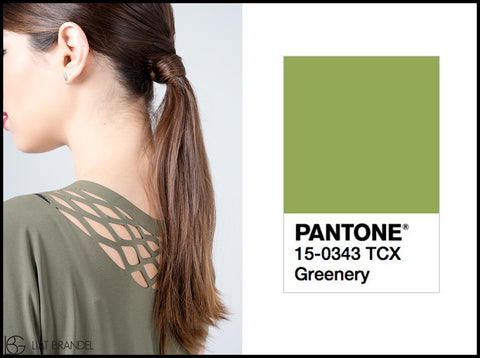 The color of the year 2017 according to the Pantone global company: Greenery green shade