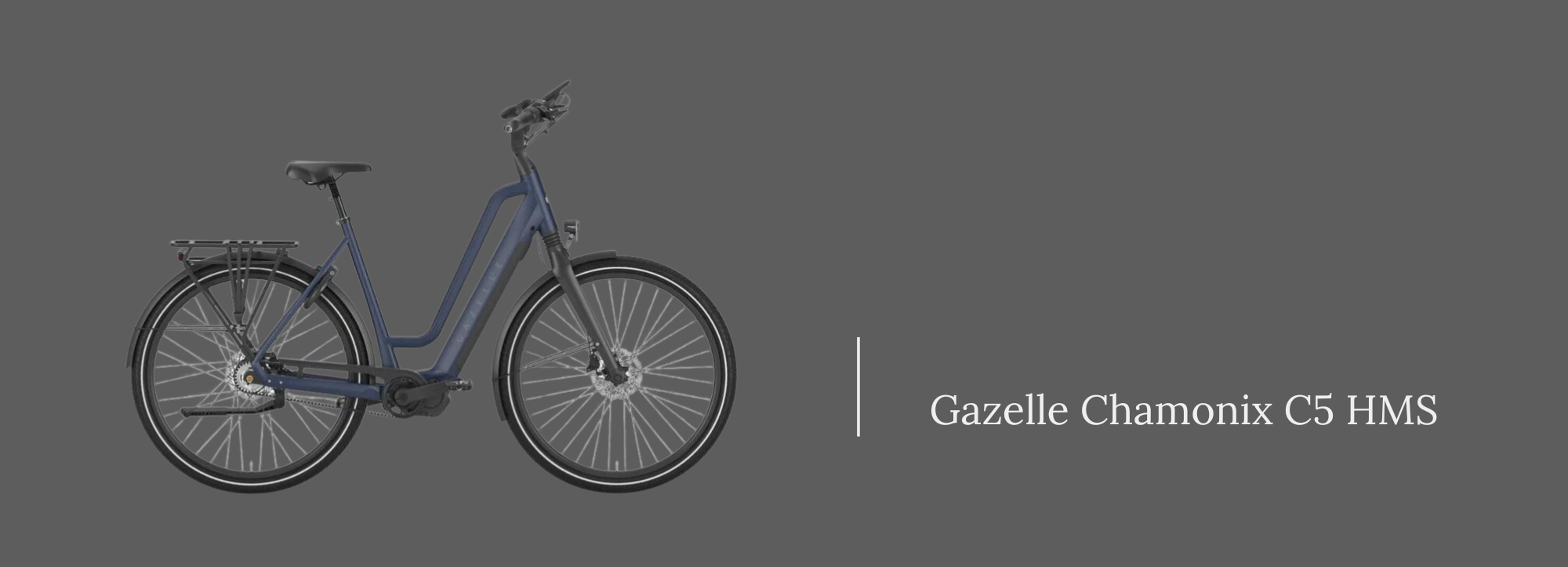 gazelle chamonix c5 shimano steps e6100 electric bike e-bike motor