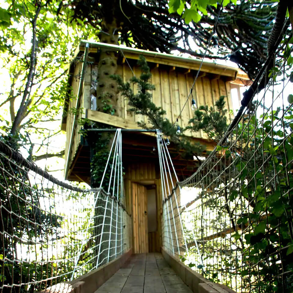 Eco retreats - Sustainable holiday accommodation - View of walkway to treehouse