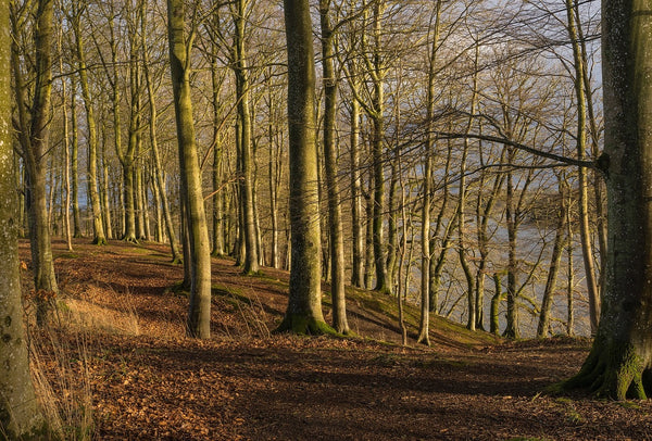 Guide to Cycling in Winter