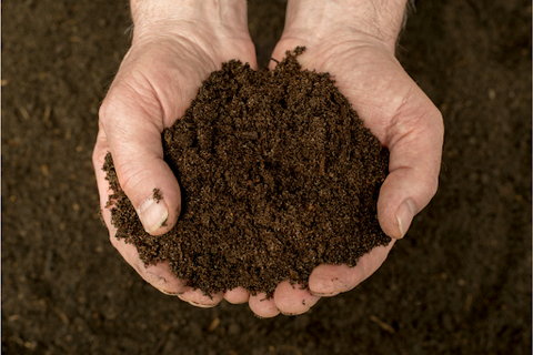 Hands holding out compost-enriched soil.