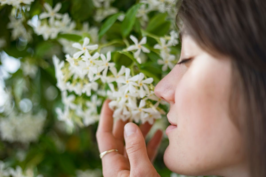 A woman smelling jasmine flowers.