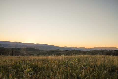 Stephanie's Wyoming landscape