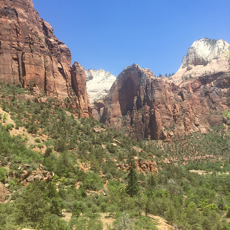 Landscape photo in Zion National park, rock formations and trees.