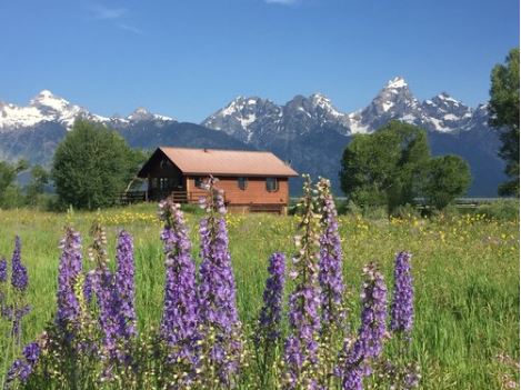 McReynolds Black Tail Cabins Grand Teton Wyoming