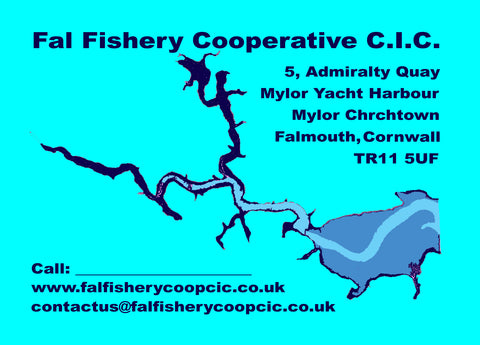 Fal Fishery Cooperative CIC - Postcard