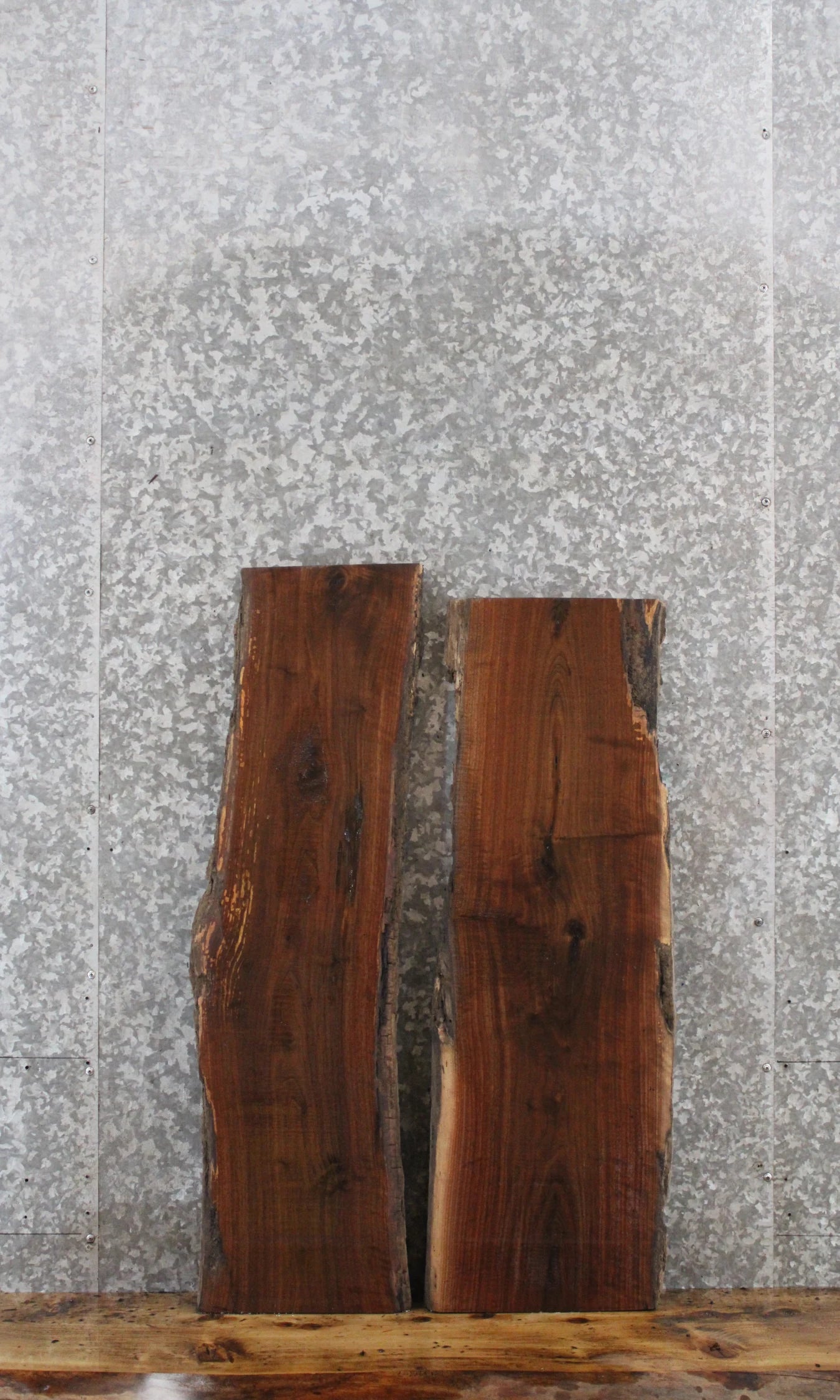 2- Black Walnut Rustic Charcuterie/Taxidermy Slabs 1556