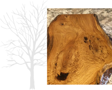 Black walnut wood slab coffee table