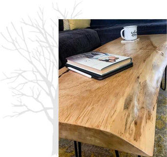 A coffee table made from our live edge furniture slabs