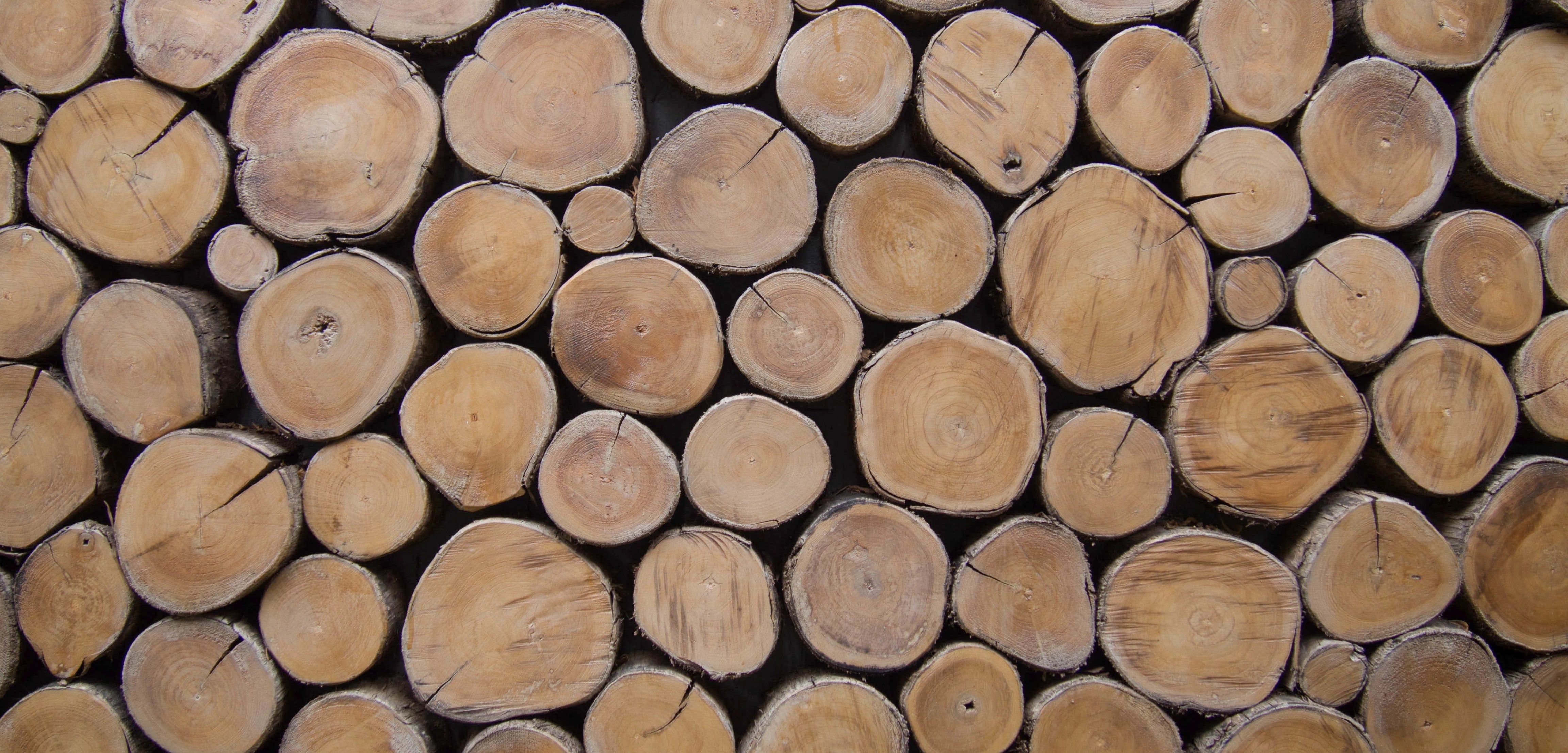 Tree Slices and oval cut lumber for Round Wall Art