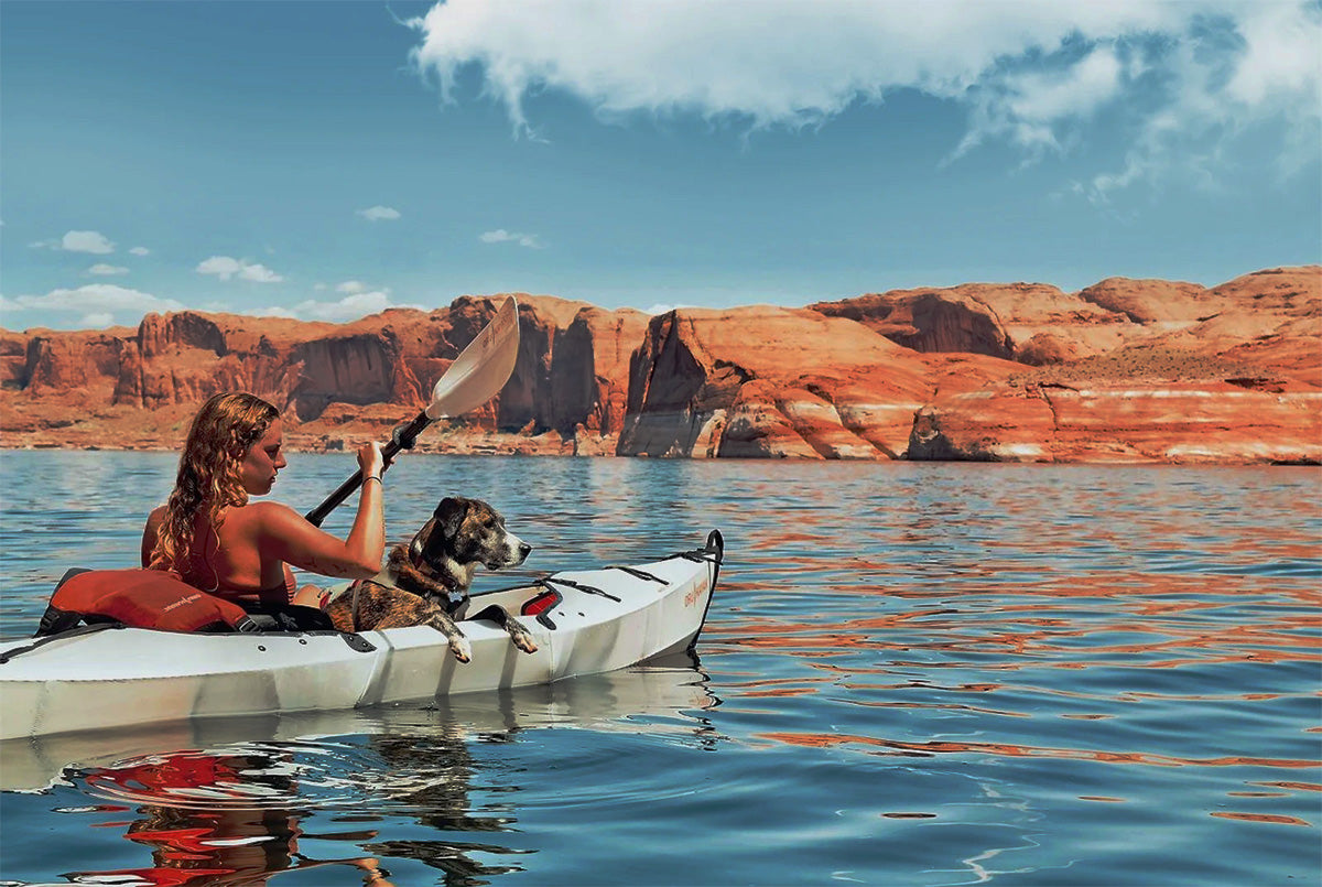 Bring Your Best Friend With You - Kayaking with Your Dog – Oru Kayak