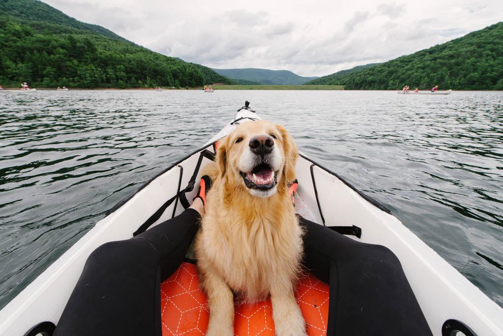 no dogs left behind - oru kayak