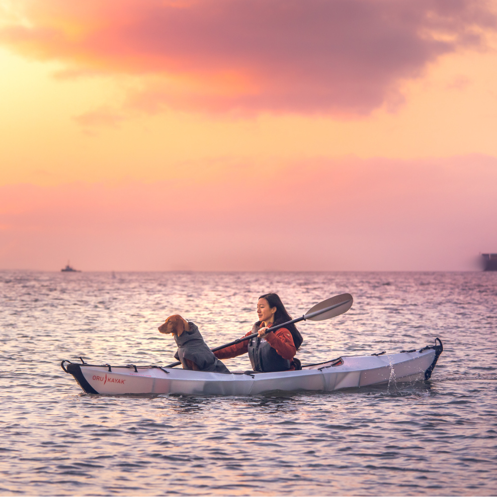 Woman with dog kayaking on a beach lt sport (Both Woman and Dog are wearing personal floating devices)