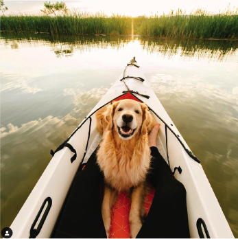 Amazon.ca: Kayaks - Kayaking: Sports & Outdoors