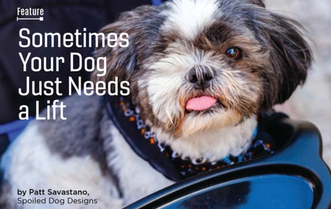 blog post "Sometimes your dog just needs a lift"