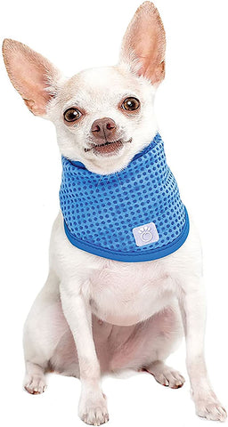 Ice Band Dog Cooling Collar