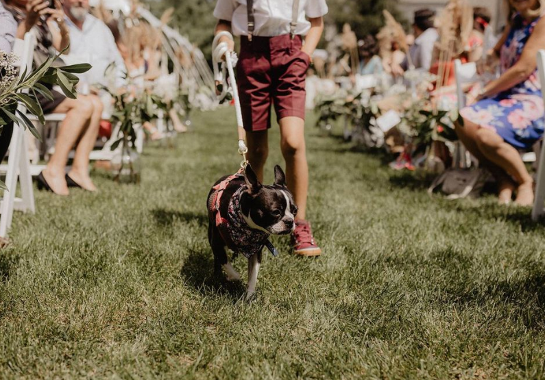 Wedding Bow Tie