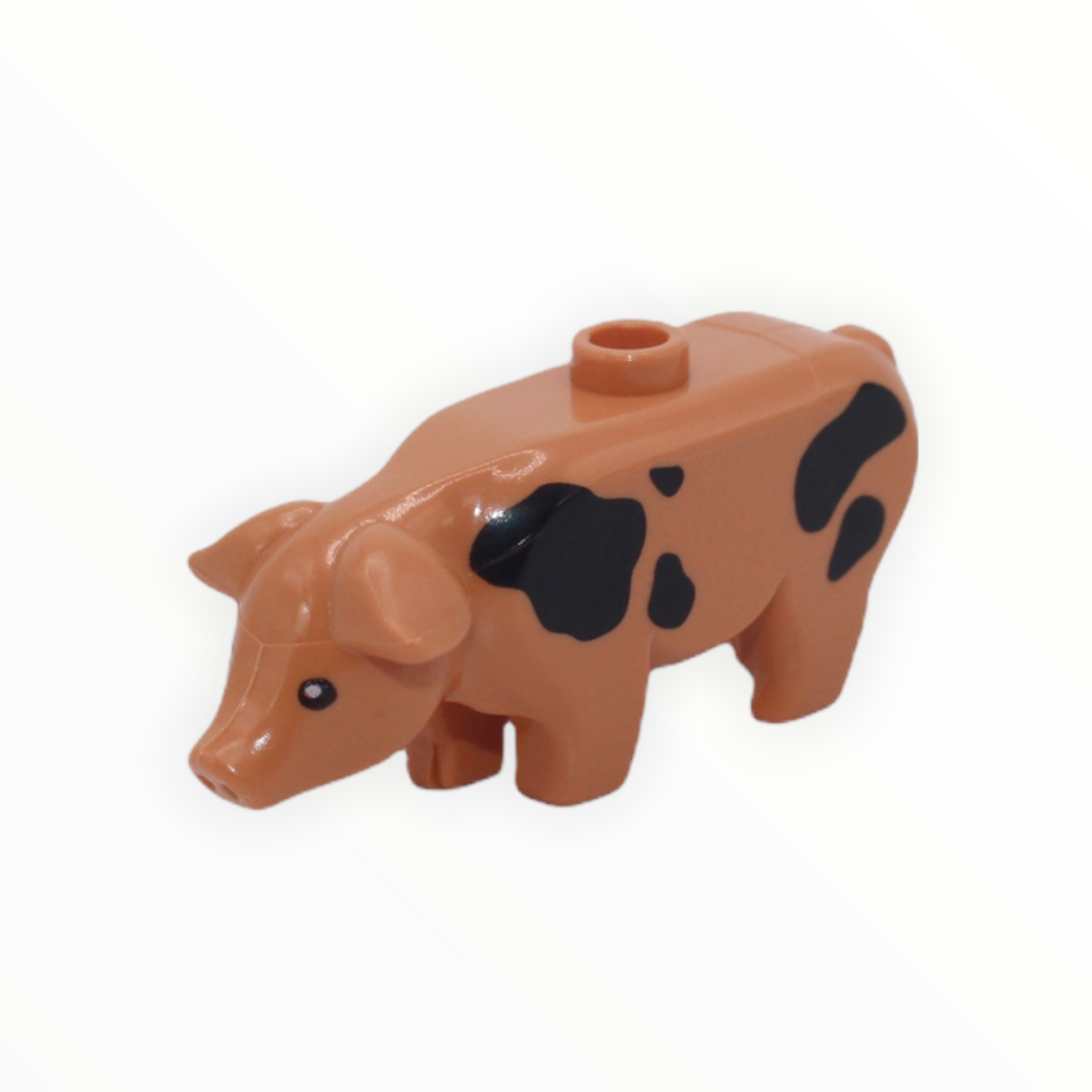 Nougat Pig with Black Spots