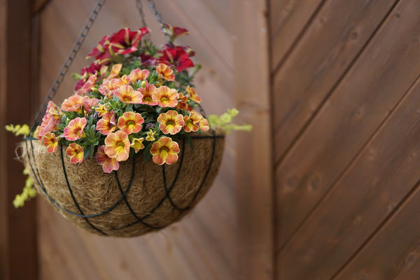 hanging basket front porch