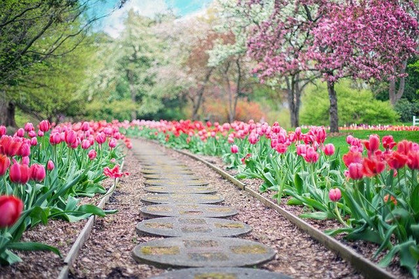 home pathway