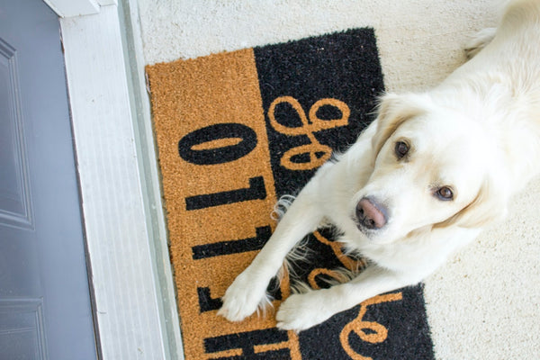welcome mat with a puppy 