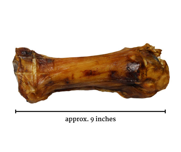 are beef shank bones safe for dogs