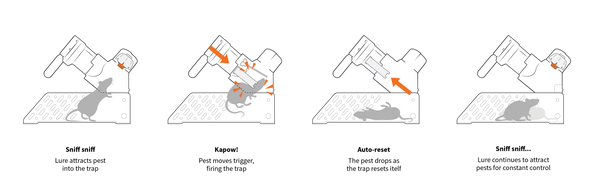 A24 Home Trapping Kit with Counter