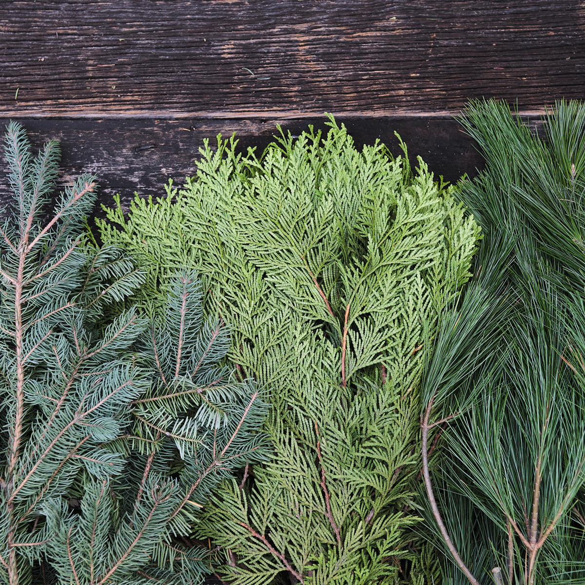 Boughs & Greenery – Bradford Greenhouses Garden Gallery