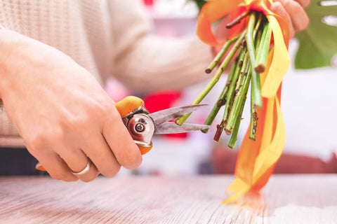 Flower, Hand, Petal, Gesture, Dress, Finger, Flower Arranging, Nail, Bouquet, Thumb