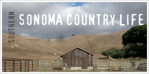 southern sonoma county life blog