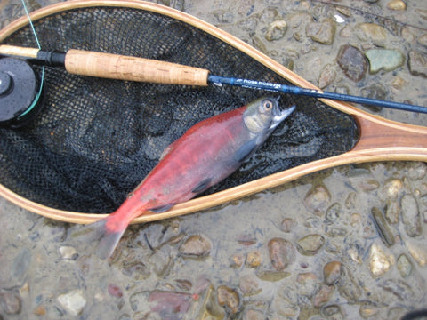 Catching Kokanee Red Salmon on the fly – JP Ross Fly Rods & Co