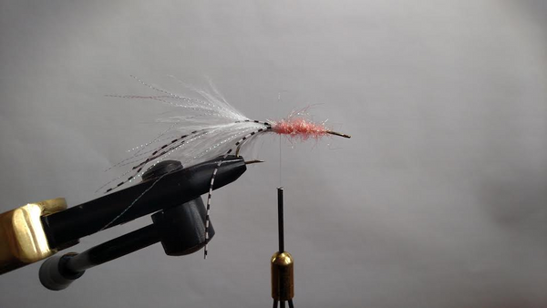 Tying The Low Sodium Squid by Mark Usyk – JP Ross Fly Rods & Co. Outdoors