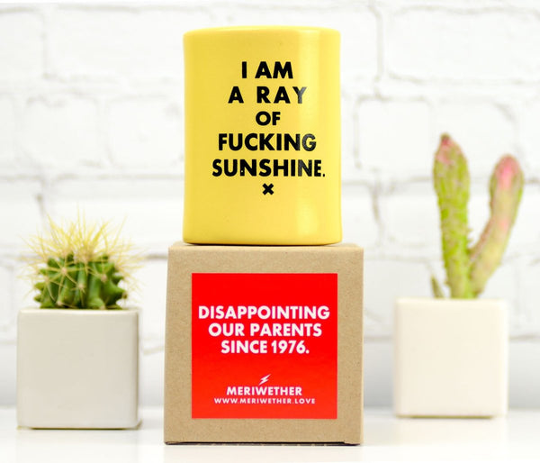 https://cdn.shopify.com/s/files/1/0183/8017/products/i-am-a-ray-of-sunshine-vintage-beer-koozie-243118_600x.jpg?v=1654117148