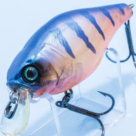 Our Recommended JDM Shallow Diving Crankbaits – JAPAN FISHING TACKLE