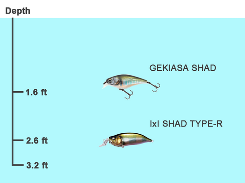 gekiasa shad_3_4.png__PID:c324a07f-c2cd-4398-bbe2-1f1e3ddfa45f