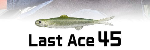 last ace 45.jpg__PID:f128c30e-aa1c-45f2-adfc-8d8c33b5d898